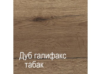 Двухстворчатый шкаф для одежды Г-10 (ДГТ) Гарда